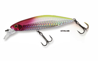 WISE HUMP MINNOW 83S